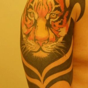 Meet your Posher, Tiger